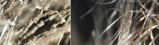   eisen-mangan-ablagerungen vor und nach reinigung  